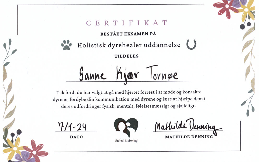 Udvidelse af kompetencer