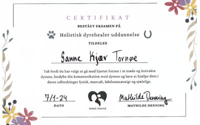 Udvidelse af kompetencer